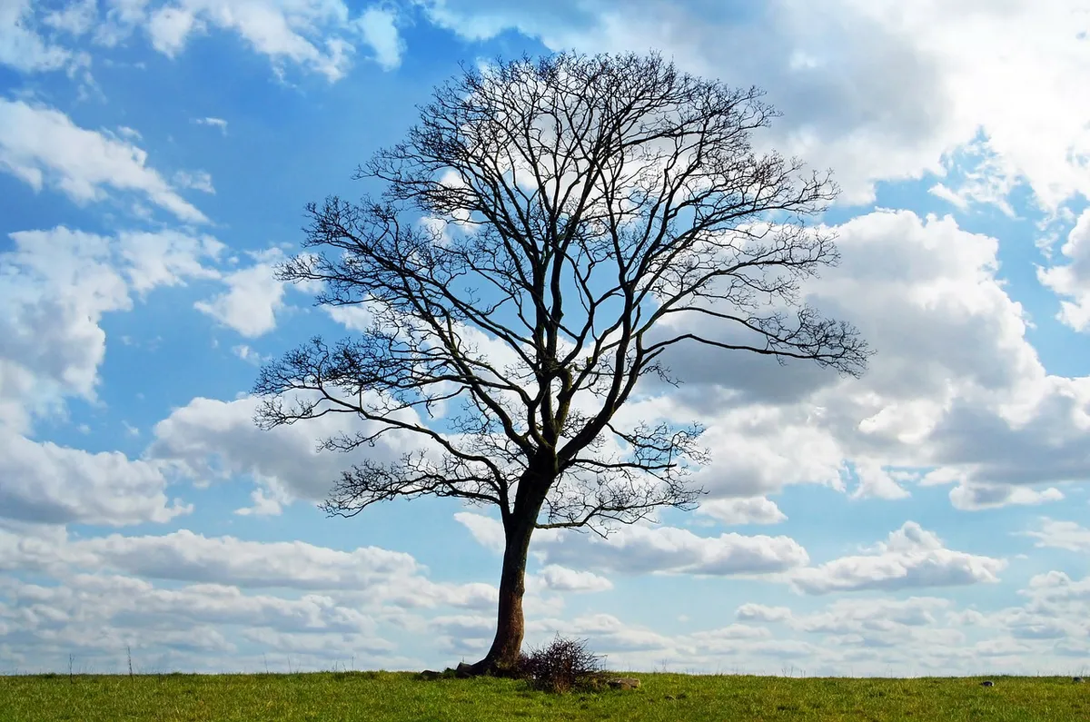 seasons of dilegence